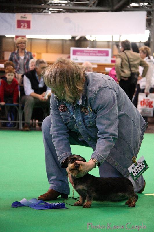 Crufts2011_2 1565.jpg